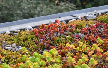 the cost of Cobholm Island green roof installation