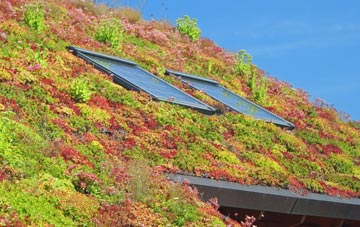 Cobholm Island living roof systems
