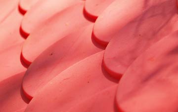 Cobholm Island plastic roof costs