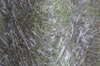 Cobholm Island fibreglass roof work